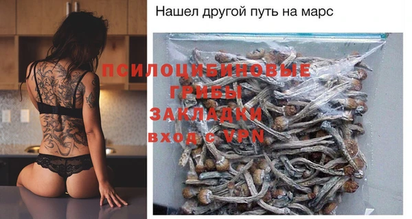дмт Алексин
