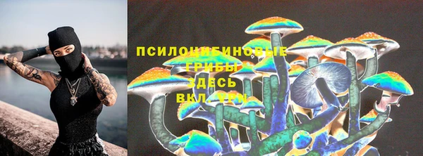 a pvp Алзамай